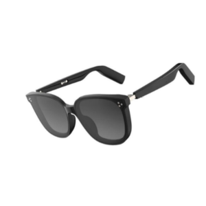 goggles bluetooth THE ADAMS Frame